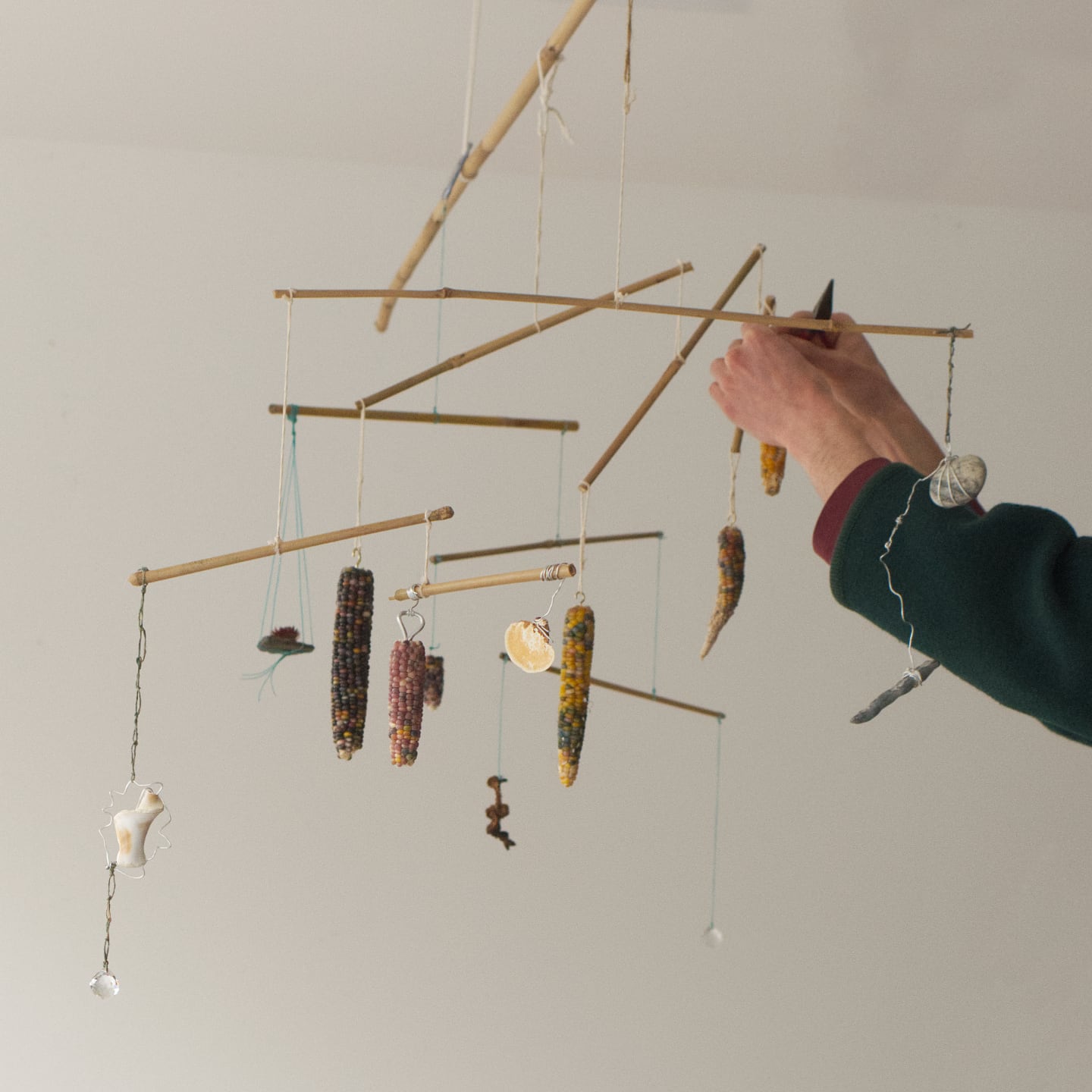 Drawing by Sarah K. Finn